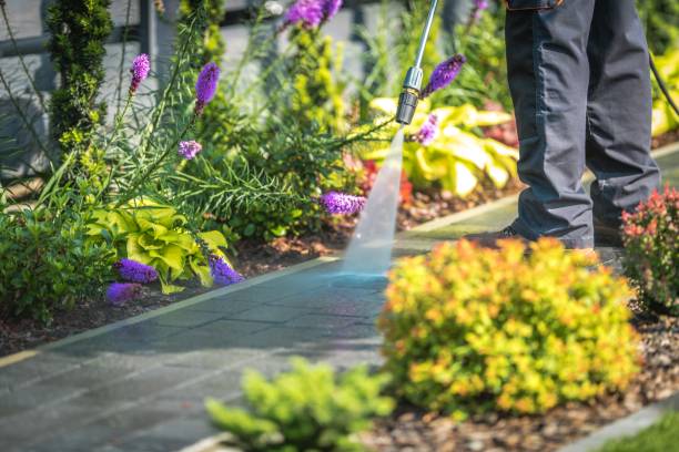 Best Parking Lot and Garage Cleaning  in Round Rock, TX